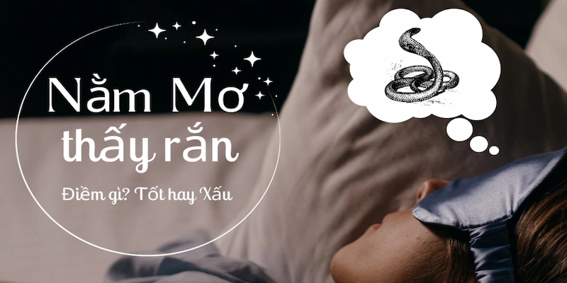 Giải đáp số đề khi mơ thấy rắn là điềm gì