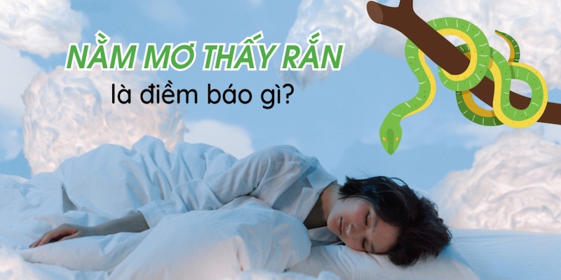 mơ thấy rắn là điềm gì khi chúng sở hữu màu sắc