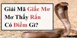 mơ thấy rắn là điềm gì thumb